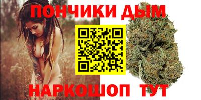мдпв Новозыбков