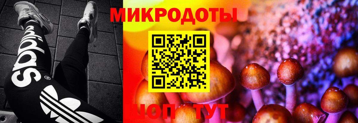 Северобайкальск  Галлюциногенные грибы мицелий  Вход с VPN 