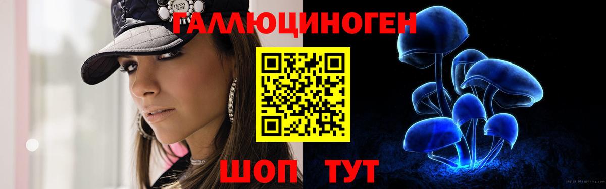 Псилоцибиновые грибы Psilocybe Северобайкальск